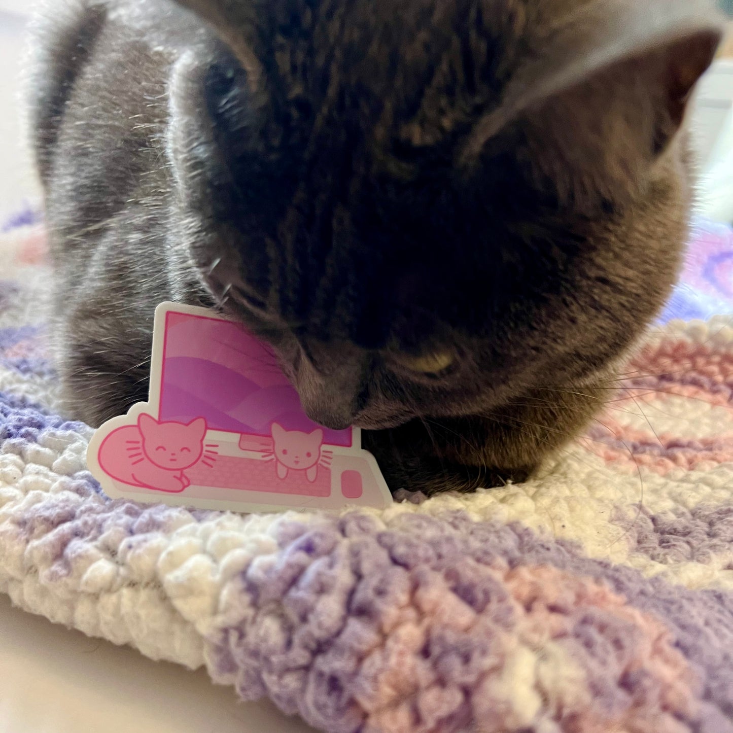 Cat Colleagues Sticker